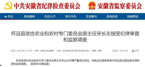 安徽怀远爆料最新新闻视频,视频揭示惊人事件，详情即将揭晓